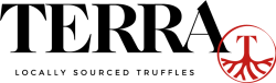Logo Terra